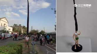 頭髮比85大樓高！台灣創意紅到日本