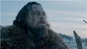 李奧納多　神鬼獵人　圖／劇照