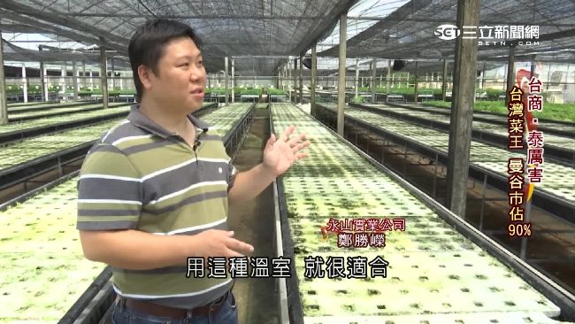 「泰」強了！曼谷9成蔬菜都是他種的