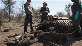 哈利王子／翻攝自Daily Mail