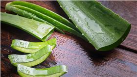 蘆薈 （圖／達志影像）