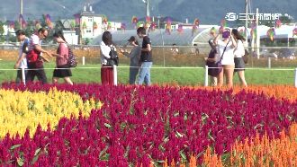 氣溫影響壽命！台灣最樂活溫度為＿