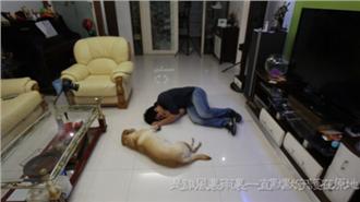 影／主人暈倒裝死　冷酷愛犬讓人淚崩