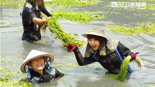 客家名菜端上桌！浪子廚師回鄉