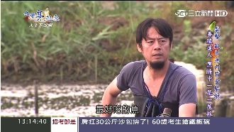 科技CEO捨千萬年薪　返鄉養虱目魚