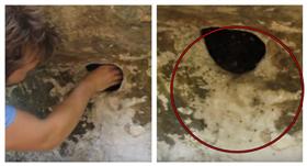 蜘蛛／翻攝自YouTube