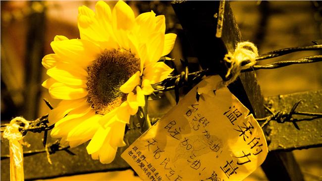 國際特赦報告：學運衝突仍未公正調查