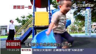 公園只剩塑膠遊具　恐讓孩子變笨？