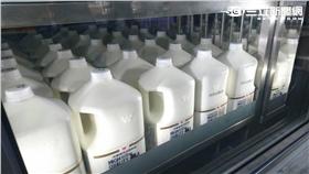 頂新,林鳳營,滅頂 (記者林敬旻攝)