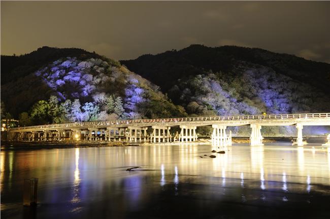 像是夢境！京都嵐山渡月橋變身不夜城