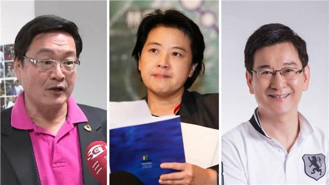 挺反扁背景參選　綠營：人都做過蠢事