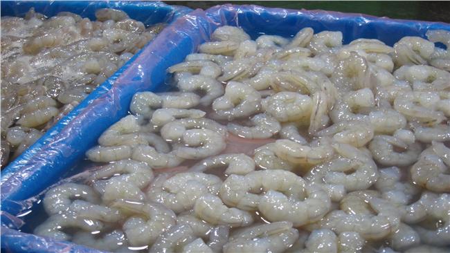 水產添加化學藥劑？北市：拒查就撤攤