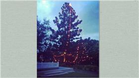 淡江中學聖誕樹/IG/wish890210