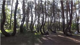 松樹/ https://www.youtube.com/watch?v=UdHgA8SUhZI