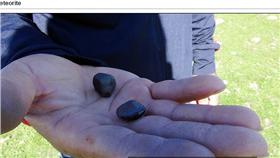 隕石碎片（圖／翻攝自每日郵報）