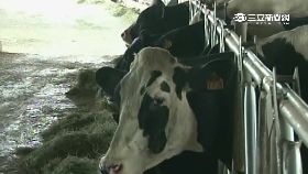 悔拍味全片g1200