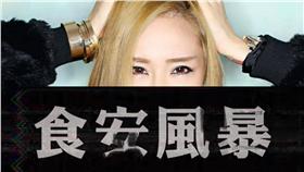食安,Nana,梁云菲▲圖／翻攝自梁云菲 Natasha Liang臉書