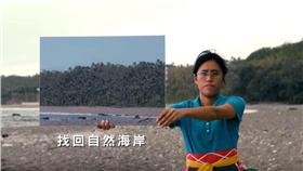 綠黨宣傳廣告（圖／翻攝自綠黨臉書）