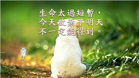 長輩圖,勵志小語