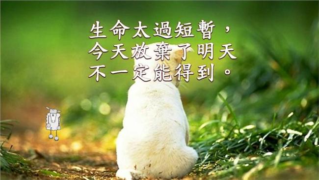 長輩圖很煩？陸媒感興趣大篇幅報導
