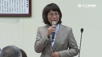 「比蔡英文紅」王如玄：我網路上最夯