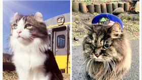 ▲圖／翻攝自ばす駅長&らぶ助役Twitter