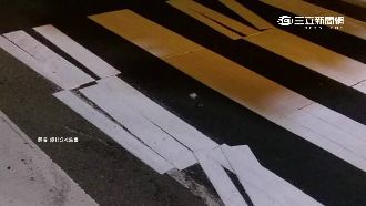 台中新裝置藝術？斑馬線竟然長這樣