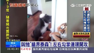 喵星人暴力相待！全因主人帶＿回家