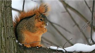 低溫+強風特報　明晨氣溫下探10度