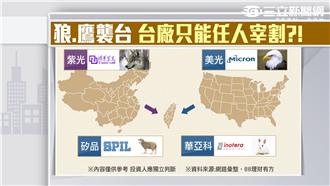 台灣如羊？　紫光中國狼、美光美國鷹