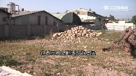 飛彈大違建g1800