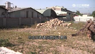 飛彈基地蓋不成　違建香菇寮再惹議
