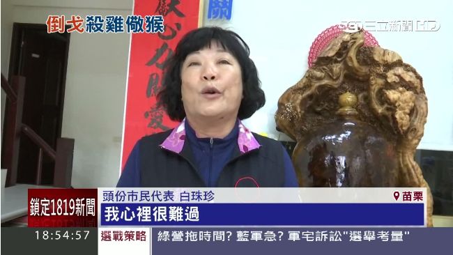 殺雞儆猴？藍營的她挺綠遭開除黨籍