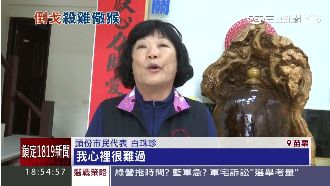 殺雞儆猴？藍營的她挺綠遭開除黨籍