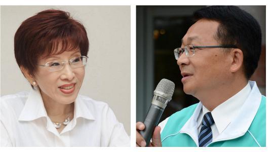 拒與綠委合照　洪秀柱笑：怕害你落選