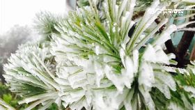 太平山霧淞0700 BS