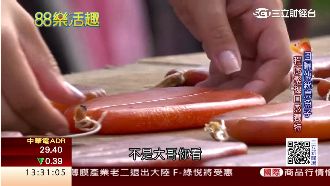 得天獨厚九降風！新竹烏魚子超肥美