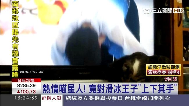 熱情喵星人！竟對冰王子「上下其手」