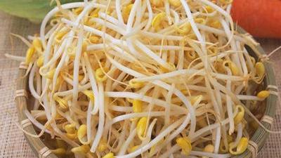 掃毒豆芽！雲縣衛生局今突擊菜市場