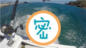 白吃海獅－圖／翻攝自《鏡報》