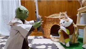 尤達訓獸大師！喵星人毫不領情
https://www.facebook.com/makerworld/videos/755616487904983/?fref=nf