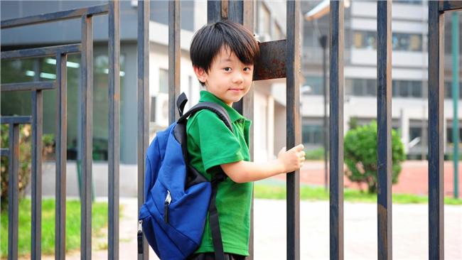 小學生書包負荷重　中市將以磅秤抽查