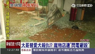 大哥為愛犬報仇？寵物店遭閃電砸毀