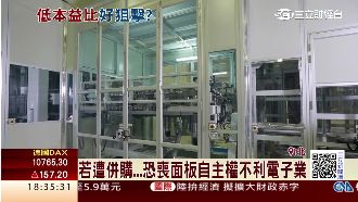 面板雙虎股價低　恐成有心人併購目標