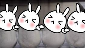 小白兔-圖／翻攝自ekdikisis YouTube