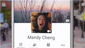 臉書,Facebook,動動大頭貼▲圖／翻攝自Facebook官網