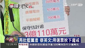 藍賣黨產求勝　綠營粗估3億投入選戰