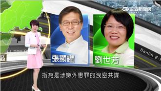 劉世芳尬張顯耀　綠想全拿高雄看這席
