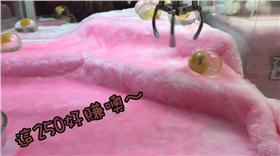 菜渣日常、夾娃娃機、蛋黃哥／YouTube