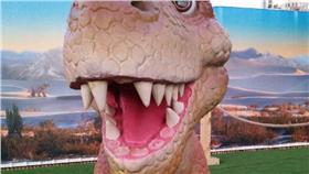 恐龍,台中侏儸紀公園／翻攝自爆料公社